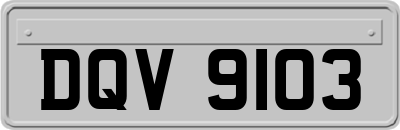 DQV9103