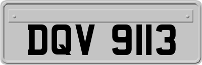 DQV9113
