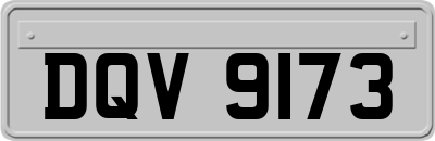 DQV9173