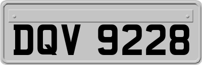 DQV9228