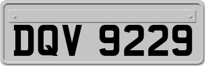 DQV9229