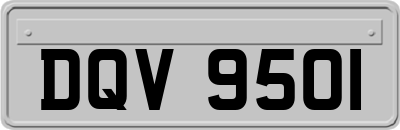 DQV9501