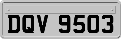 DQV9503