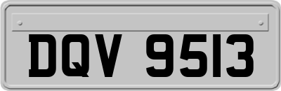 DQV9513