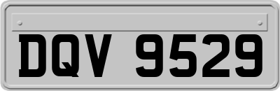DQV9529