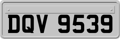 DQV9539