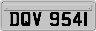 DQV9541