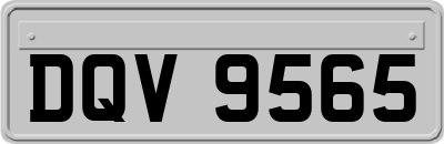 DQV9565
