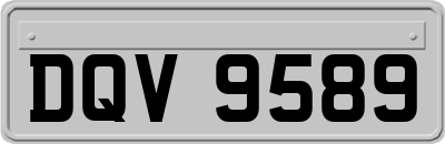 DQV9589