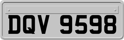 DQV9598