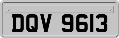 DQV9613