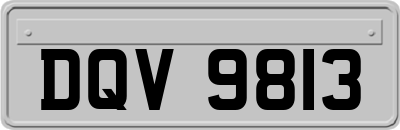 DQV9813