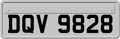 DQV9828