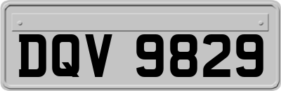 DQV9829