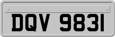 DQV9831