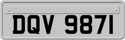 DQV9871