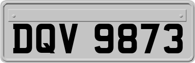 DQV9873