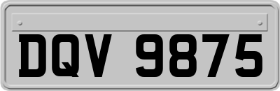 DQV9875