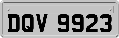 DQV9923
