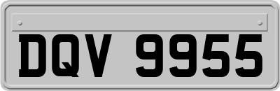 DQV9955
