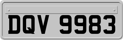 DQV9983