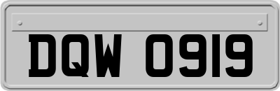DQW0919