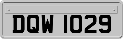 DQW1029