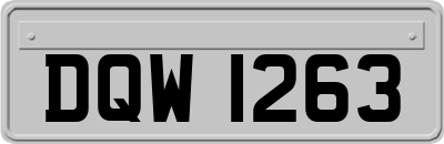 DQW1263