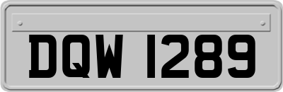 DQW1289