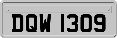 DQW1309