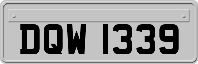 DQW1339