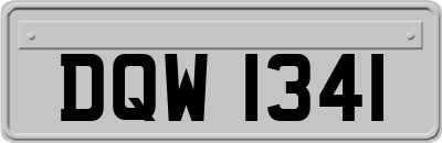 DQW1341