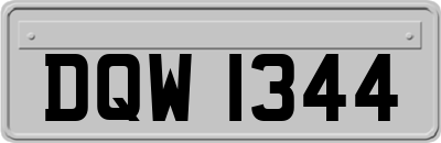 DQW1344