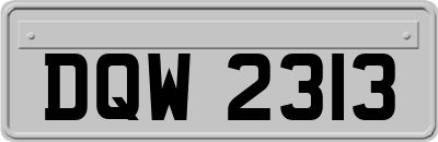 DQW2313