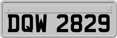 DQW2829