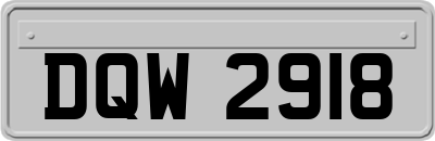 DQW2918