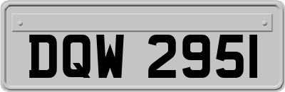 DQW2951