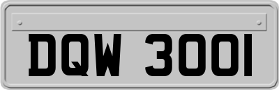 DQW3001