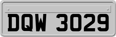 DQW3029