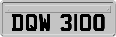 DQW3100