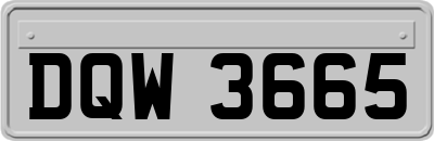 DQW3665