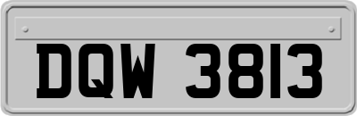 DQW3813