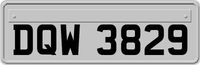 DQW3829