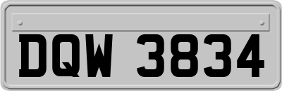 DQW3834