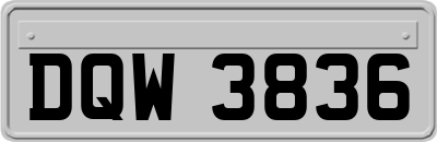 DQW3836