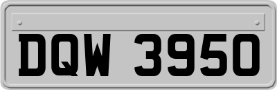 DQW3950