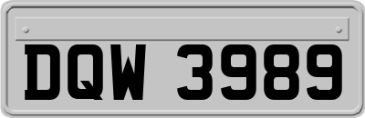 DQW3989