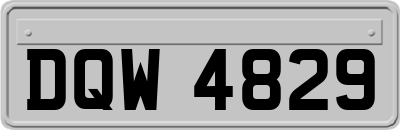 DQW4829