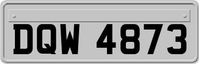 DQW4873