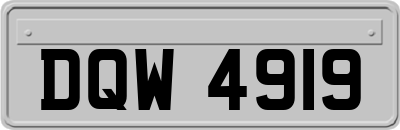 DQW4919